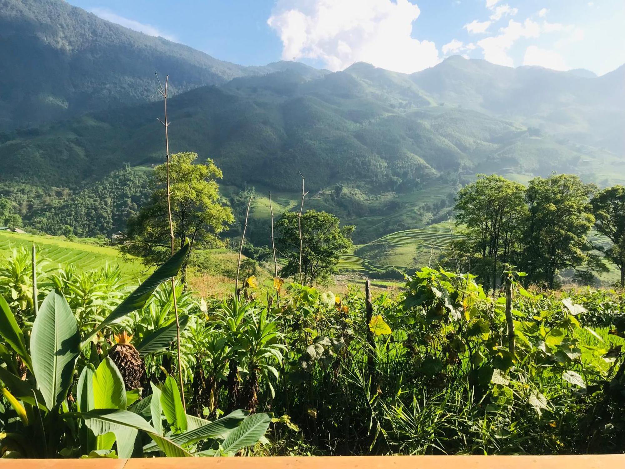 Sapa Hmong Bungalow Homestay Cameră foto